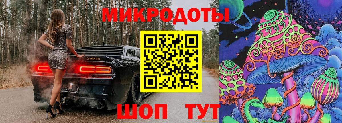 Касимов  Галлюциногенные грибы Psilocybe  Вход с VPN 