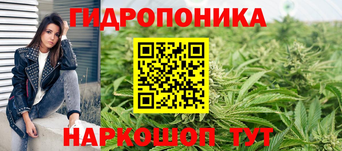 Шишки марихуана семена  Шишки марихуана AK-47  Марихуана планчик  Вход с VPN  Каннабис Ganja  Касимов 